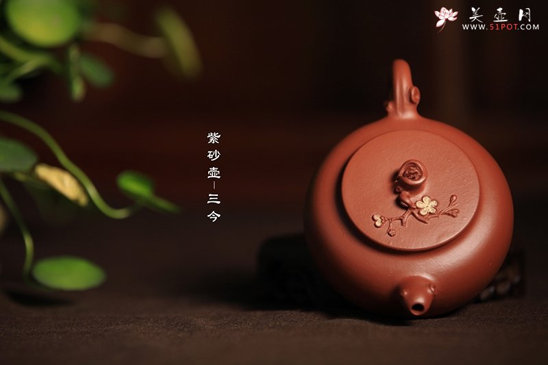 紫砂壶图片：踏雪寻梅 - 宜兴紫砂壶网