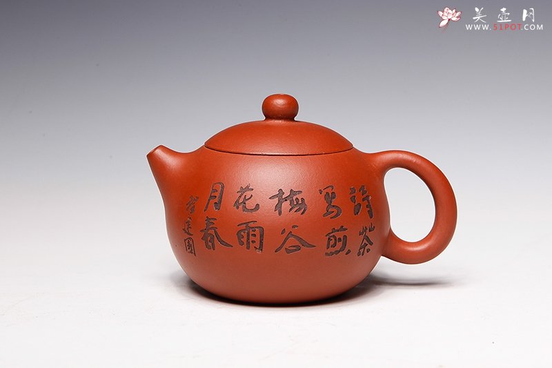 紫砂壶图片：西施 - 宜兴紫砂壶网