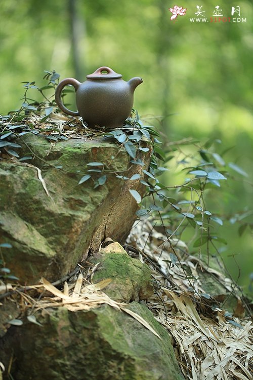 紫砂壶图片：宫灯 - 宜兴紫砂壶网