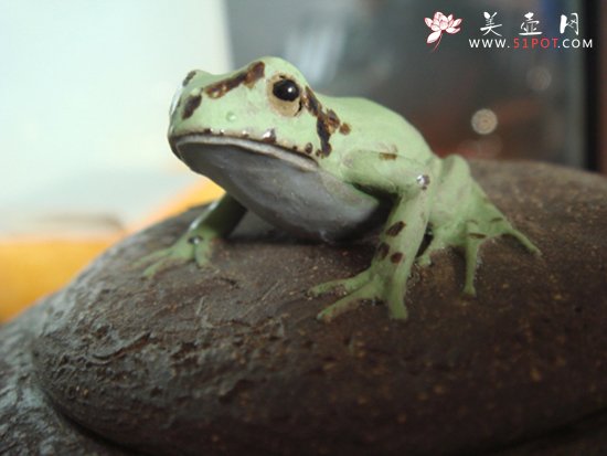 紫砂壶图片：树蛙供春盖子 - 宜兴紫砂壶网