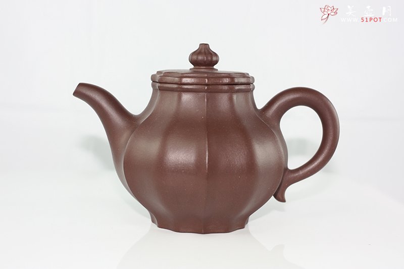 紫砂壶图片：菊瓣水仙 - 宜兴紫砂壶网