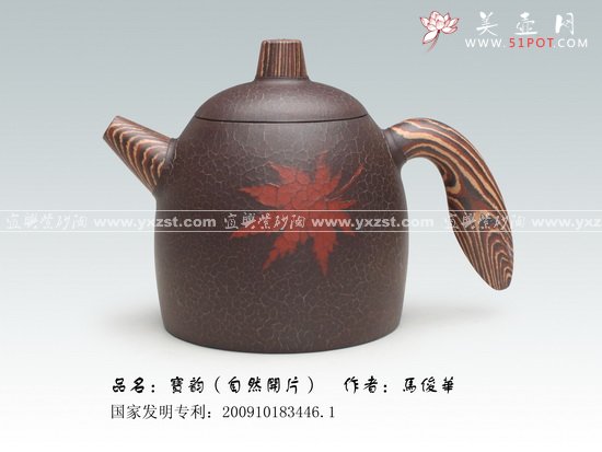 紫砂壶图片：宝韵 拷贝 - 宜兴紫砂壶网