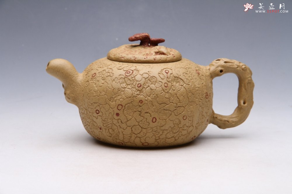 紫砂壶图片：长寿供春 - 宜兴紫砂壶网