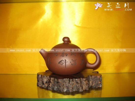 紫砂壶图片：西施 - 宜兴紫砂壶网