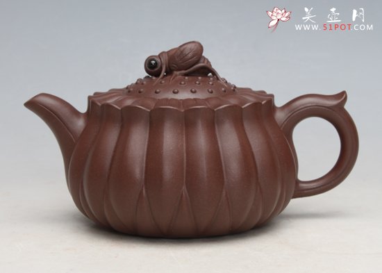紫砂壶图片：蜂菊 - 宜兴紫砂壶网