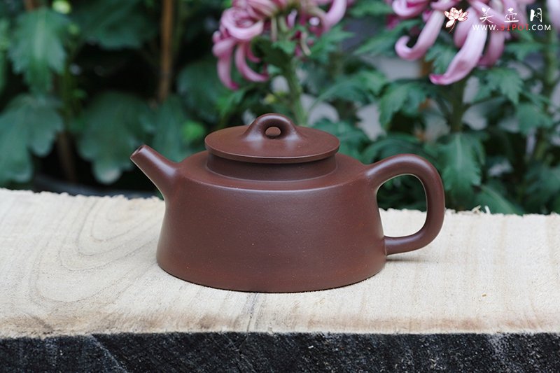 紫砂壶图片：鱼罩 - 宜兴紫砂壶网