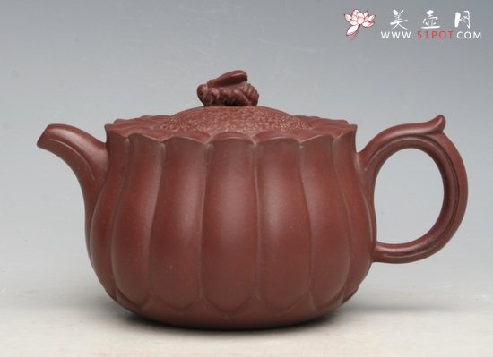 紫砂壶图片：蜂菊 - 宜兴紫砂壶网