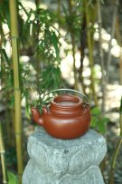 紫砂壶图片：蛋包 朱泥 - 宜兴紫砂壶网