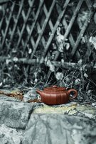 紫砂壶图片：葵八方 - 宜兴紫砂壶网