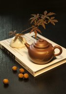 紫砂壶图片：圈钮 - 宜兴紫砂壶网