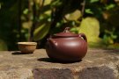 紫砂壶图片：丰硕 - 宜兴紫砂壶网