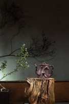 紫砂壶图片：梅桩 - 宜兴紫砂壶网