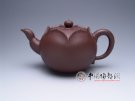 紫砂壶图片：荷莲 - 宜兴紫砂壶网