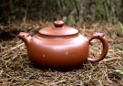 紫砂壶图片：7 凤鸣盛世 - 宜兴紫砂壶网