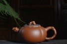 紫砂壶图片：柿扁壶 - 宜兴紫砂壶网