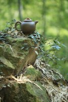 紫砂壶图片：宫灯 - 宜兴紫砂壶网