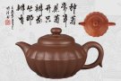 紫砂壶图片：菊瓣壶 - 宜兴紫砂壶网
