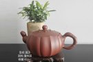 紫砂壶图片：莲子 - 宜兴紫砂壶网